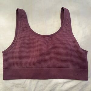 Seamless Purple Sports Bra
